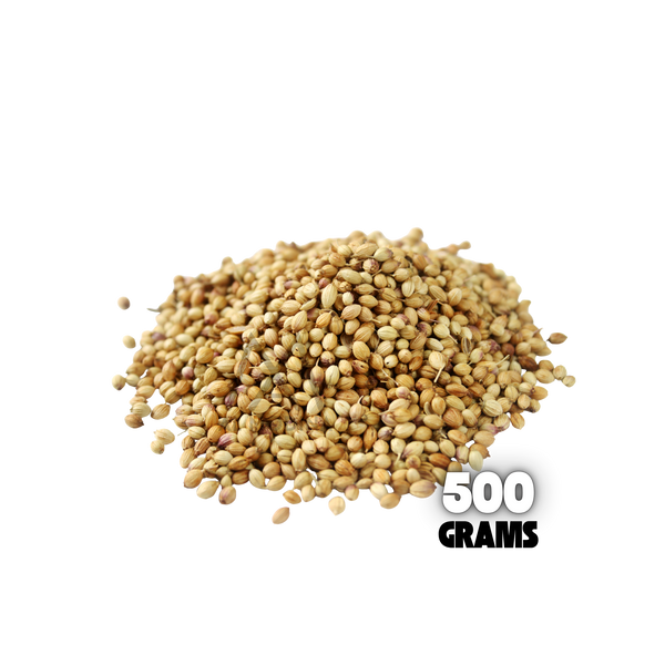 コリアンダーシード 500g