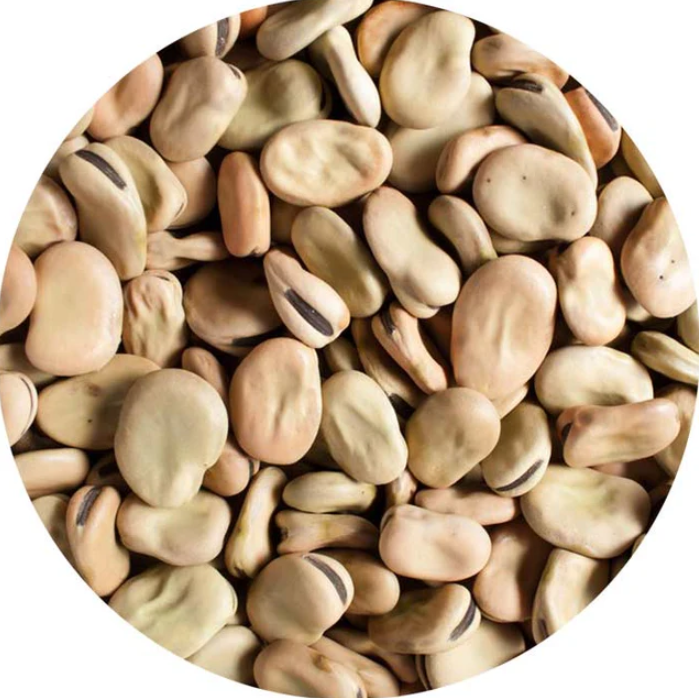 DRY BROAD BEANS/ BABY FAVA BEANS 1 KG