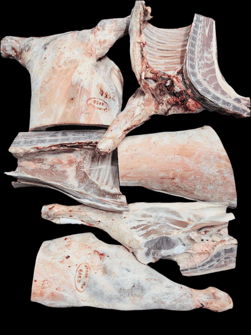 Lamb Carcase Whole 9~14Kg Size - AL MODINA