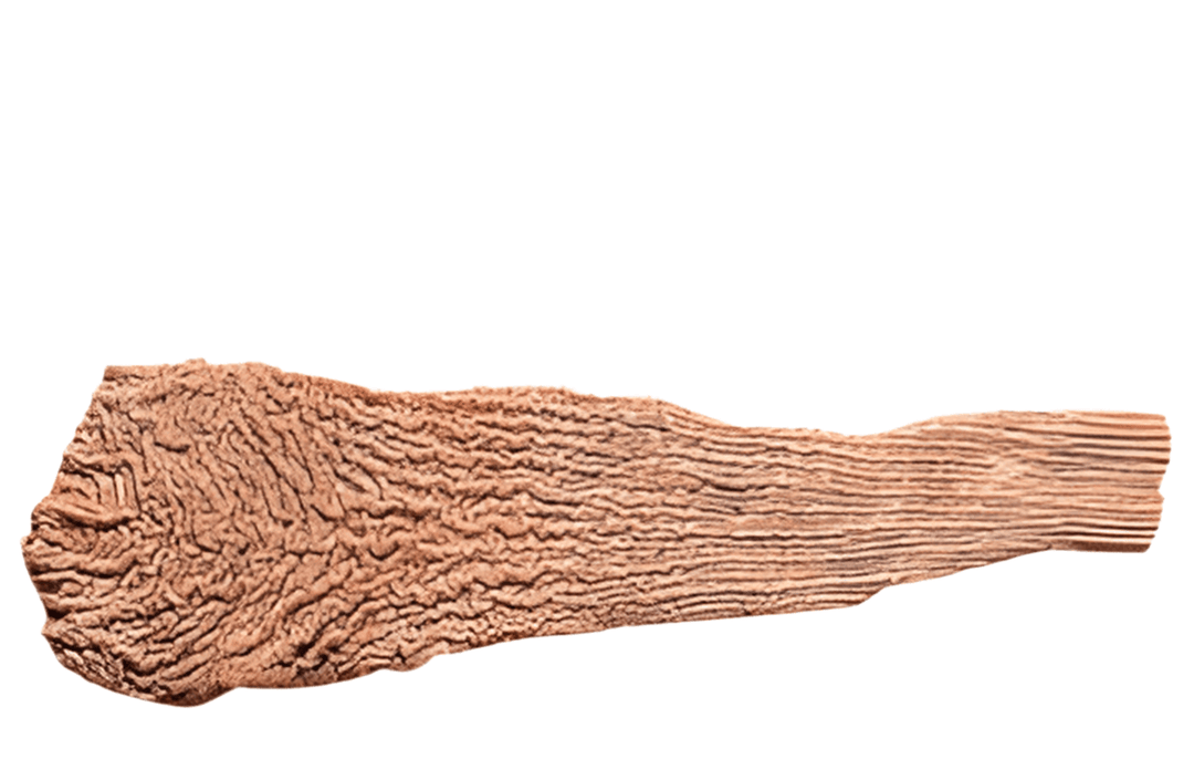 Beef hormone 牛ホルモン (テッポウ) 1PC - AL MODINA