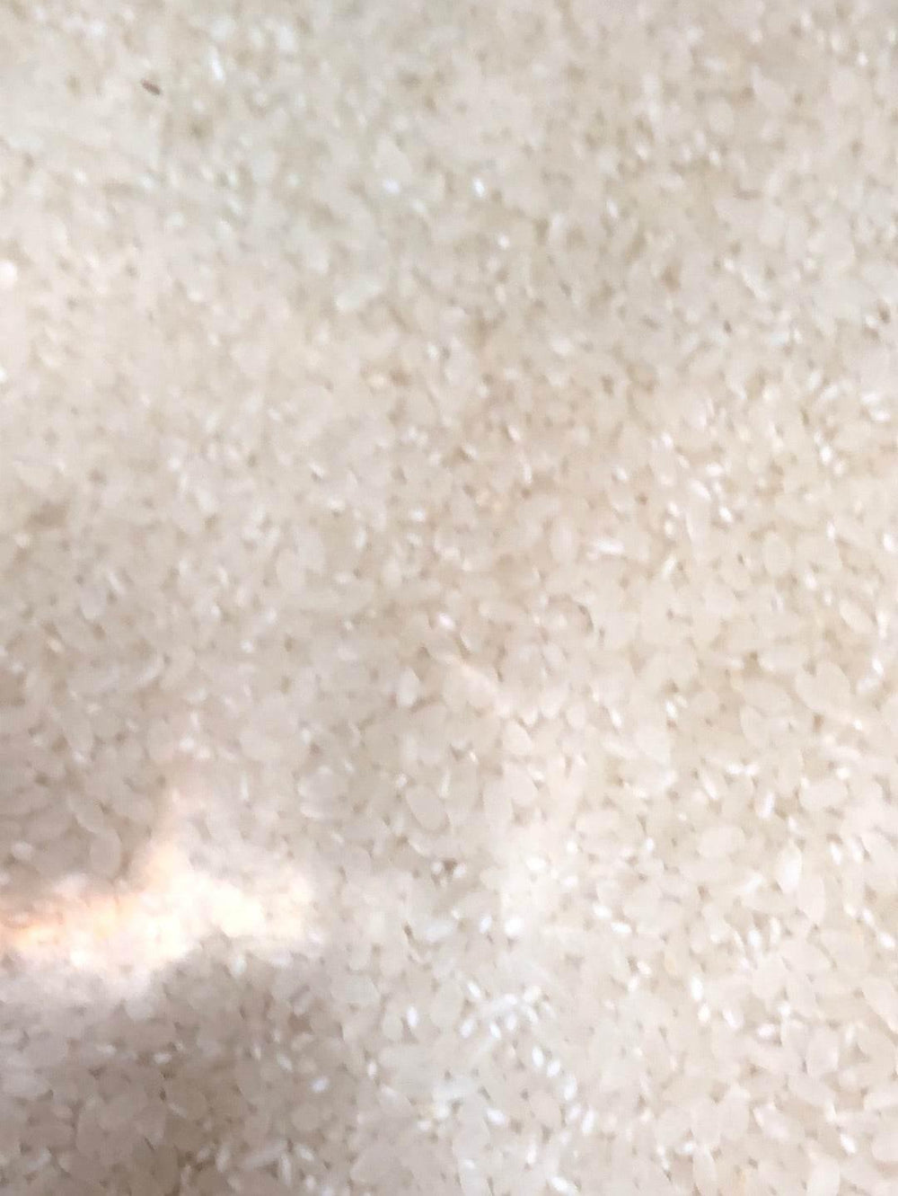 Japanese Rice by Al Modina - AL MODINA