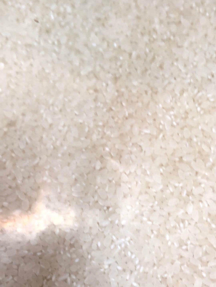 Japanese Rice by Al Modina - AL MODINA