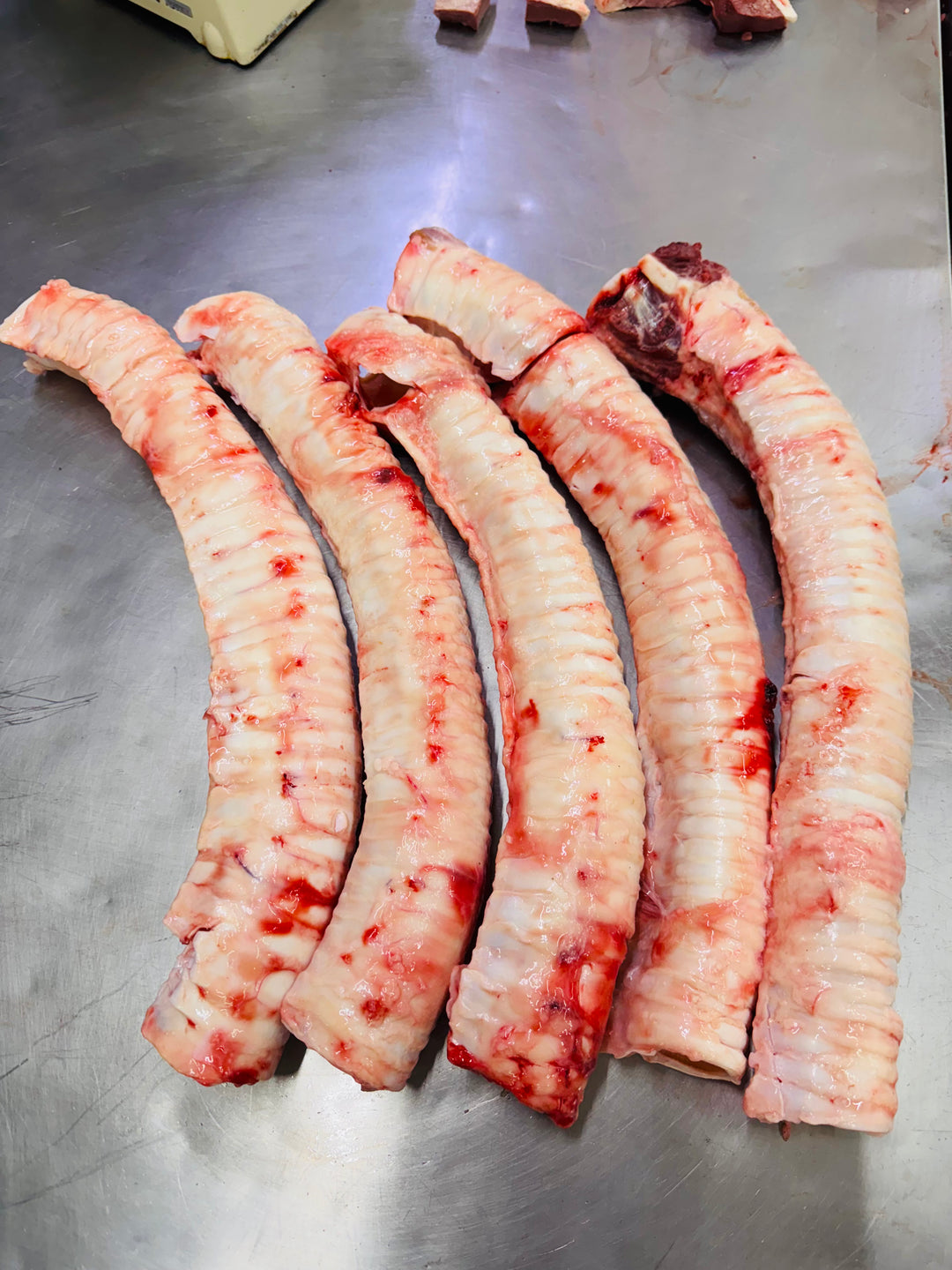 Beef Trachea 牛のウルテ - AL MODINA