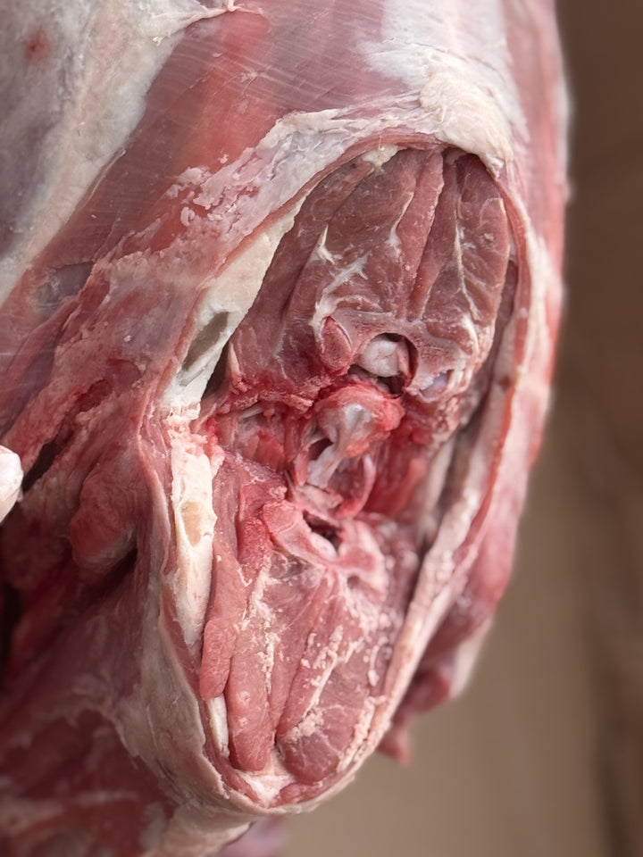 Fresh Whole Lamb From Australia 1kg Non Frozen - AL MODINA