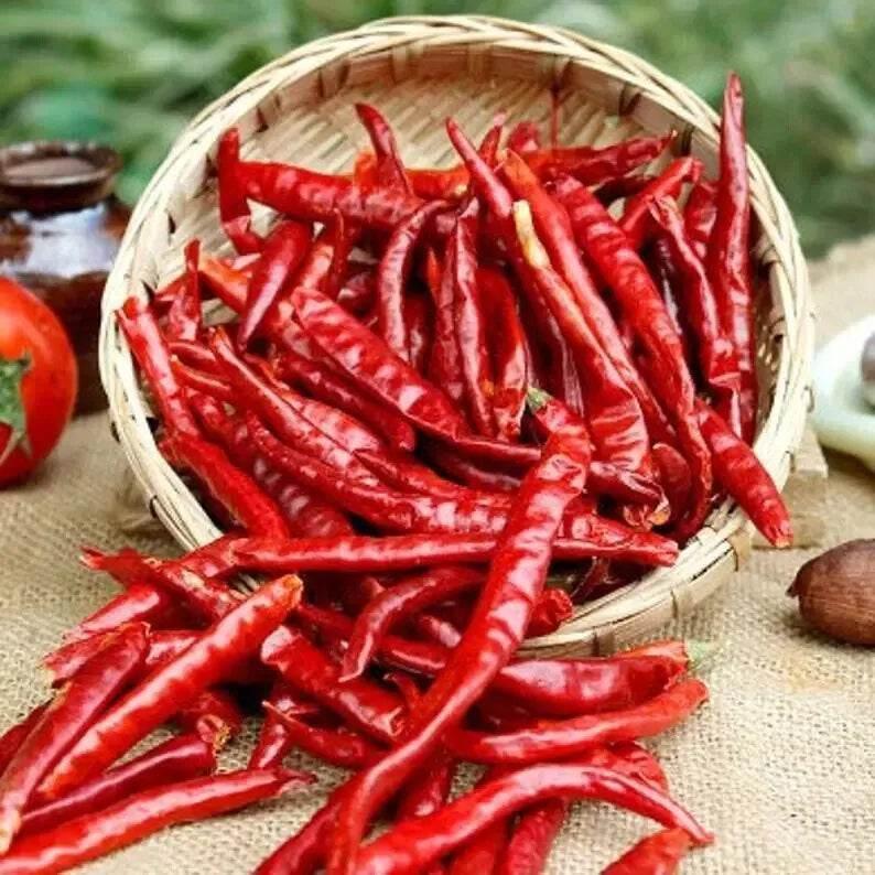 Dry Red Chilli 100g - AL MODINA