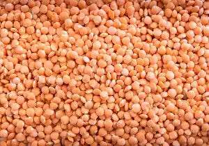 Masoor Dal Whole - AL MODINA