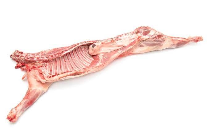 Lamb HALF 7KG +- - AL MODINA