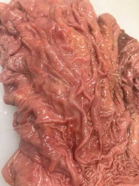 Beef hormone 牛ホルモン (ギアラ) 1 PC - AL MODINA