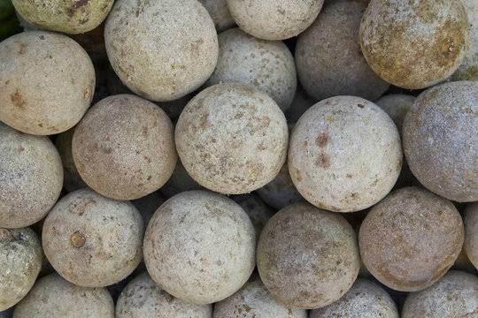 কদবেল Wood apple per kg তাজা বাংলাদেশি - AL MODINA