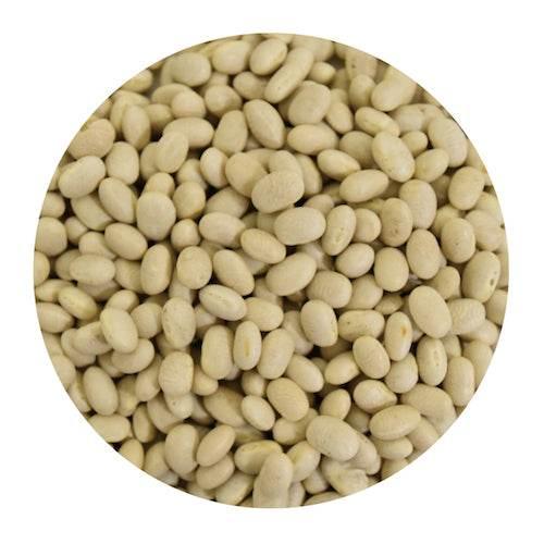 Close-up of light beige navy beans filling a circular frame on white background