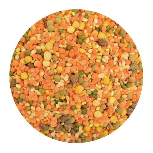 Close-up of mixed dried lentils and split peas in orange, green, yellow, and brown colors