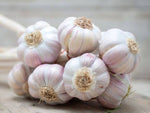 Garlic Whole 1kg