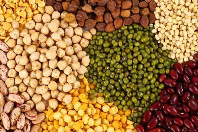 Beans - AL MODINA