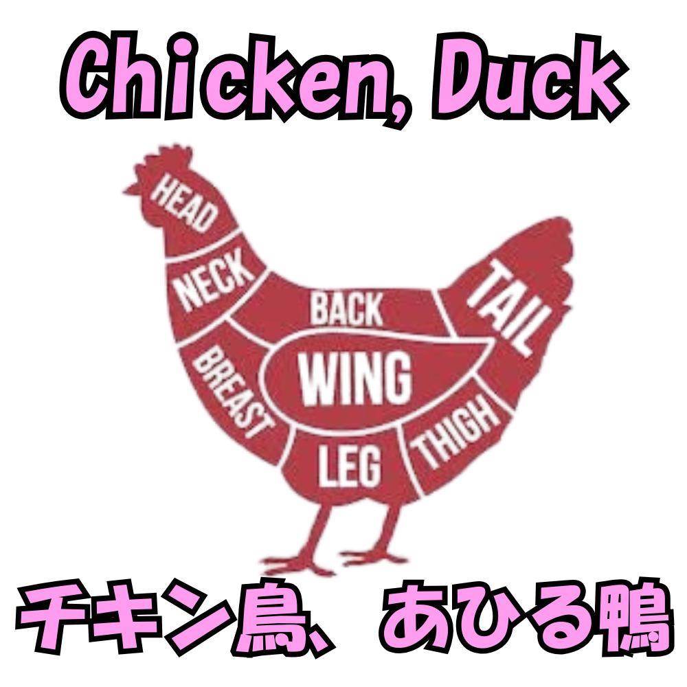 Chicken & Duck - AL MODINA