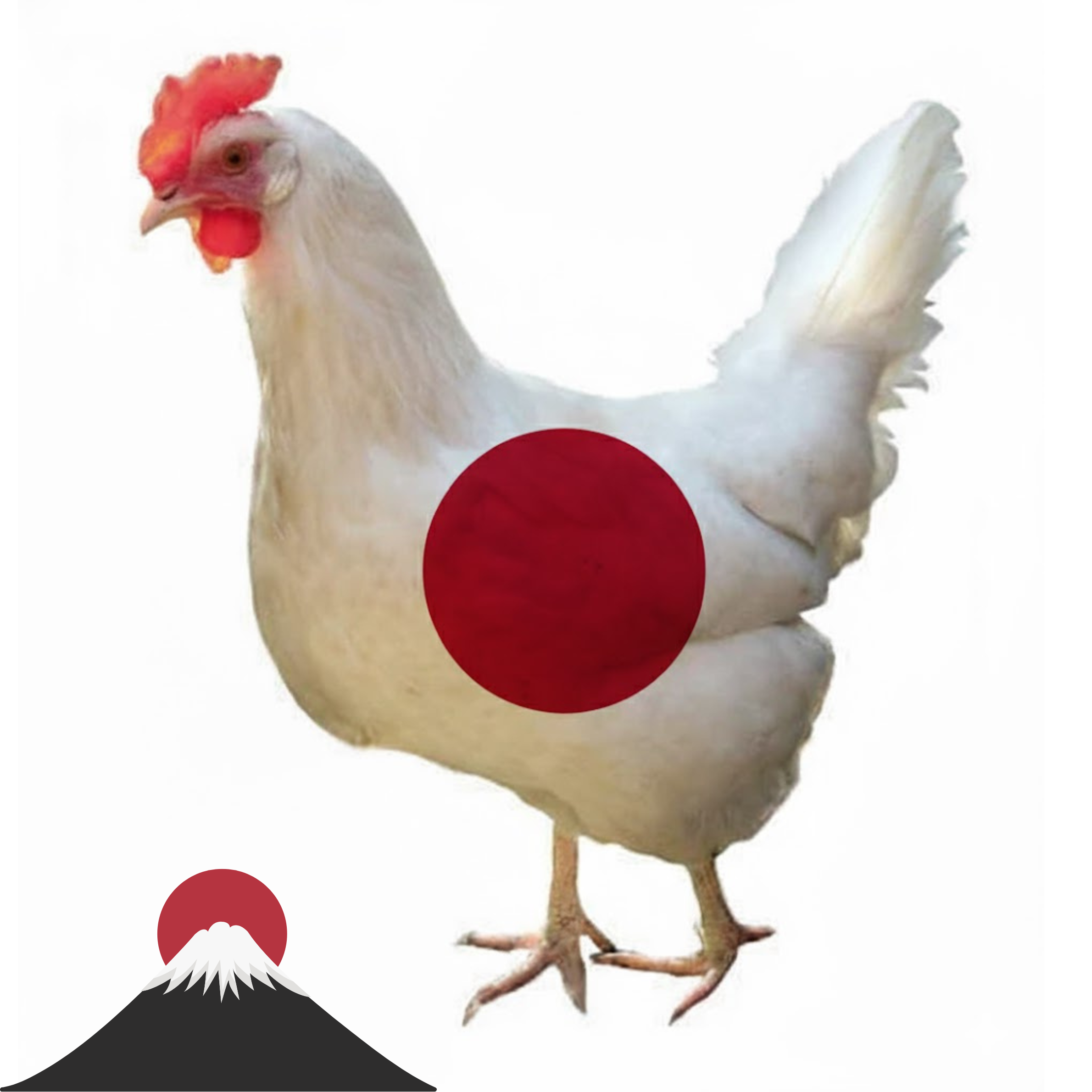 Japanese Chicken Items Halal