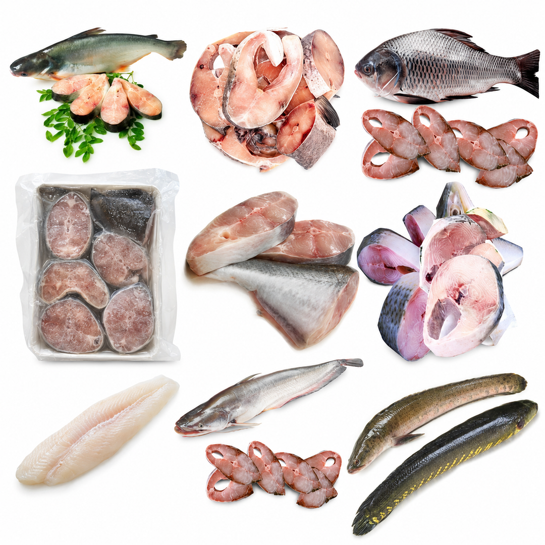 Cut Fish Packs Collection – assorted fish cuts and fillets including koral, ruhu, katla, magur, pangash, hilsha, boal and shole on a white background