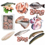 Cut Fish Packs