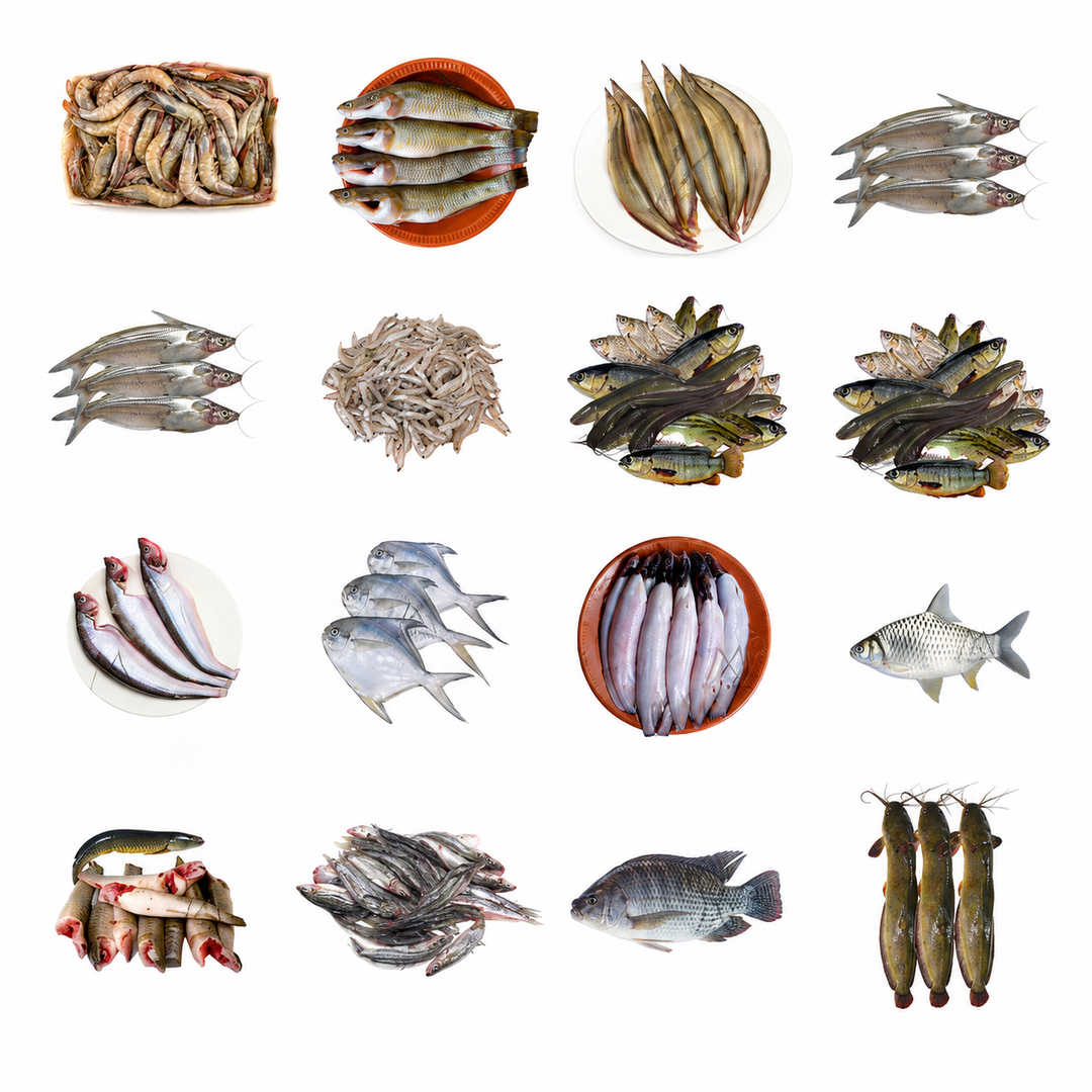 Small Whole Fish