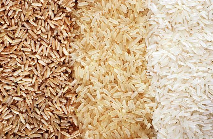 Rice - AL MODINA