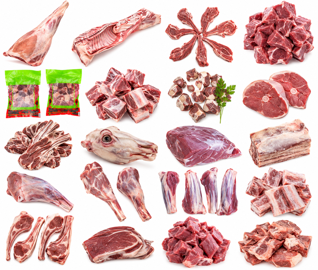 Halal lamb collection featuring lamb chops, leg, shank, boneless lamb, ribs, shoulder and assorted lamb cuts at AL MODINA Japan