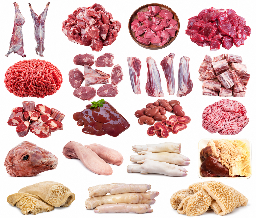 Halal mutton collection featuring boneless mutton, mince, leg cuts, shank, liver, kidney, brain, tongue, feet and tripe at AL MODINA Japan