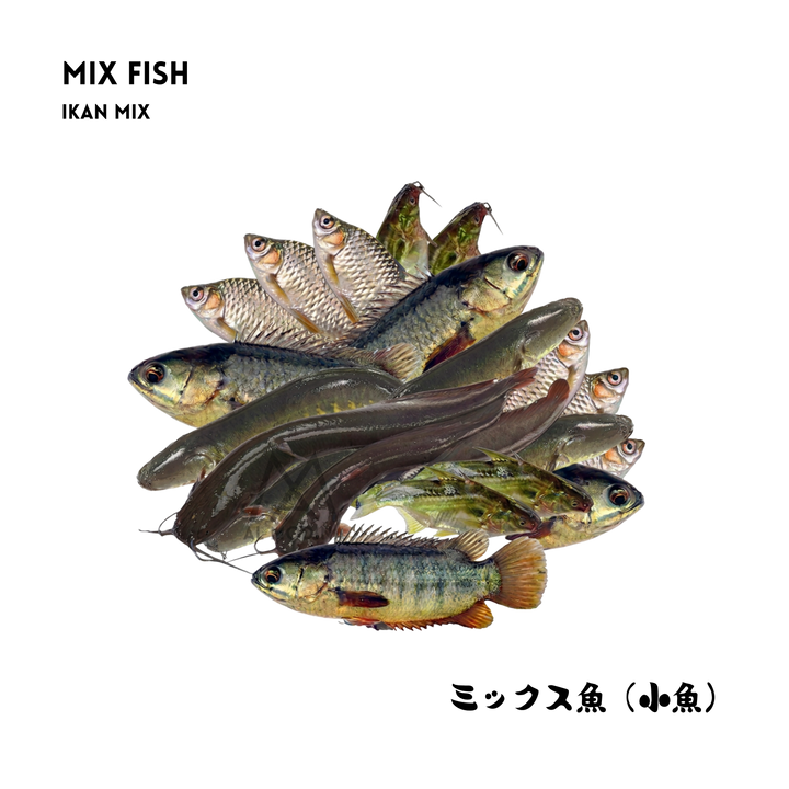 Mix Fish 500g