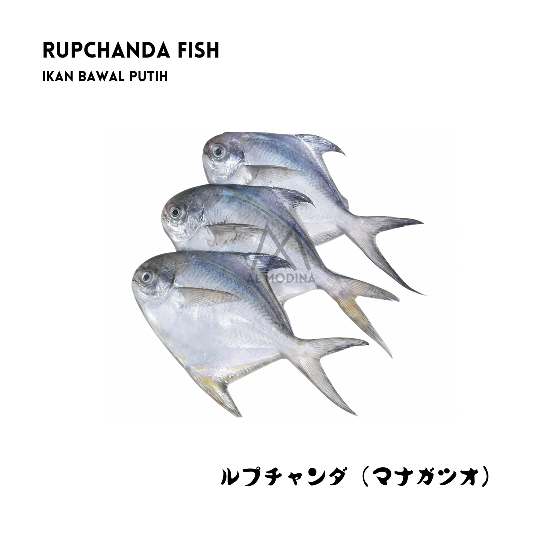 Rupchada Fish 800g