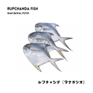 Rupchada fish, 800g pack