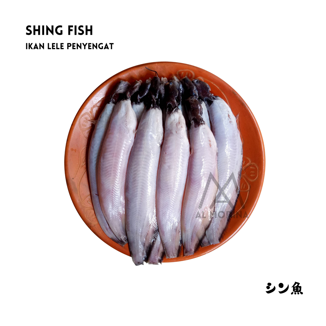 シンフィッシュ500G