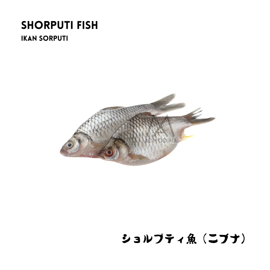 Shorputi fish, double piece pack