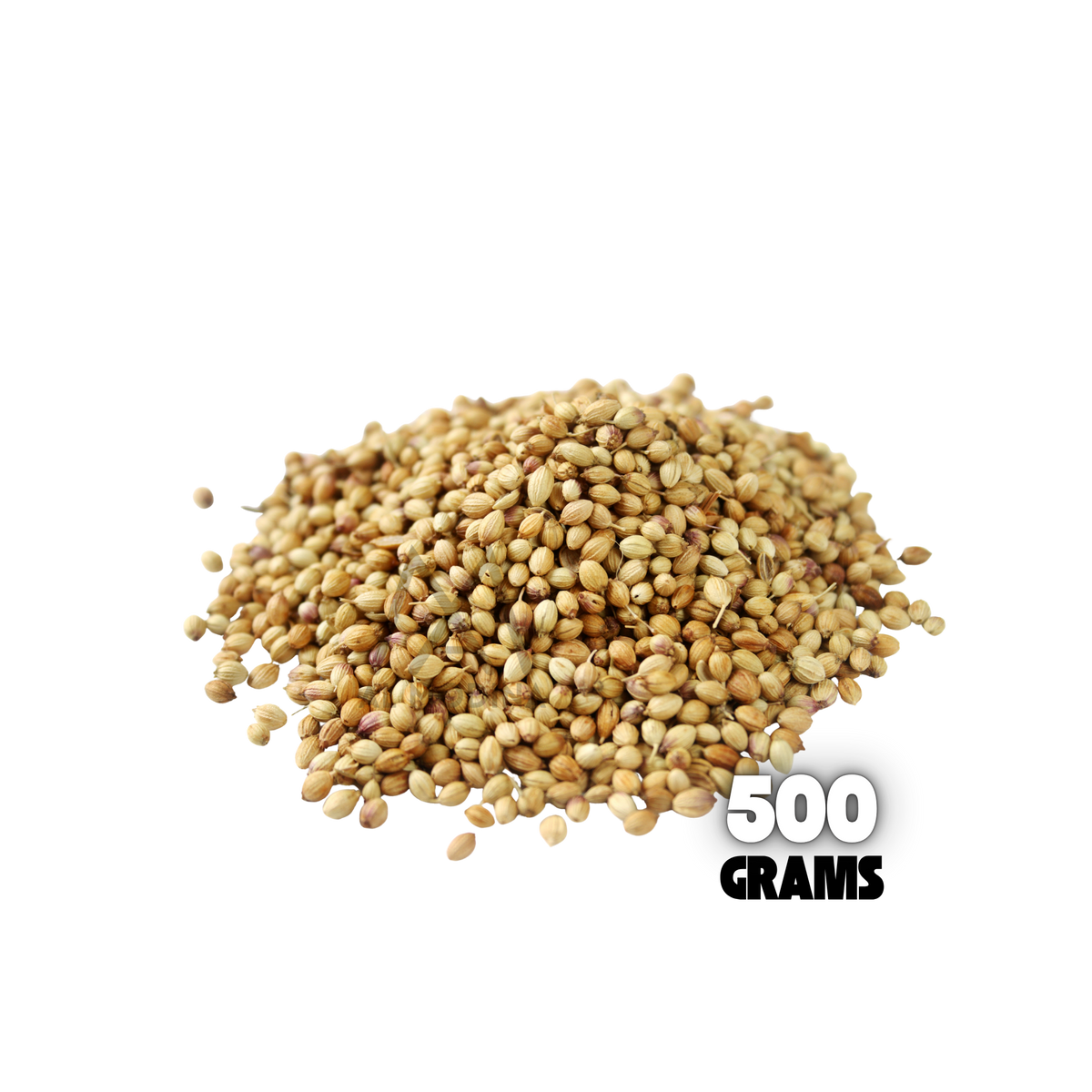 コリアンダーシード 500g