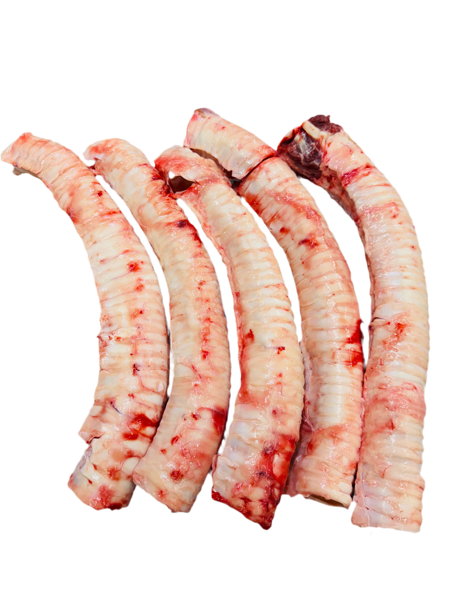 Beef Trachea 牛のウルテ