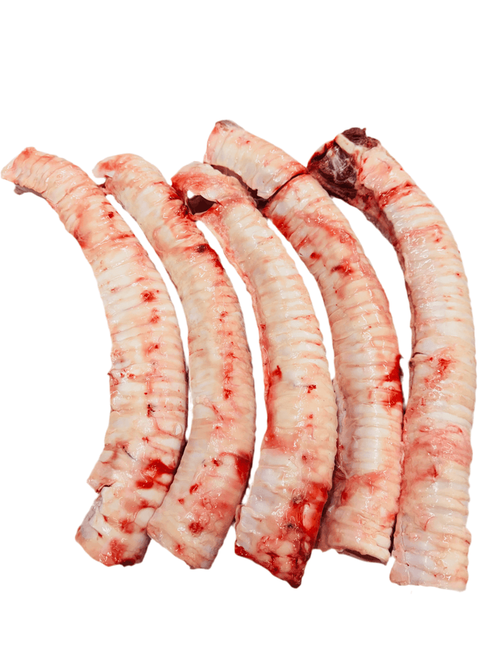 Beef Trachea 牛のウルテ - AL MODINA