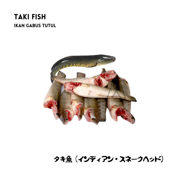 Taki Fish 500g Cleaned