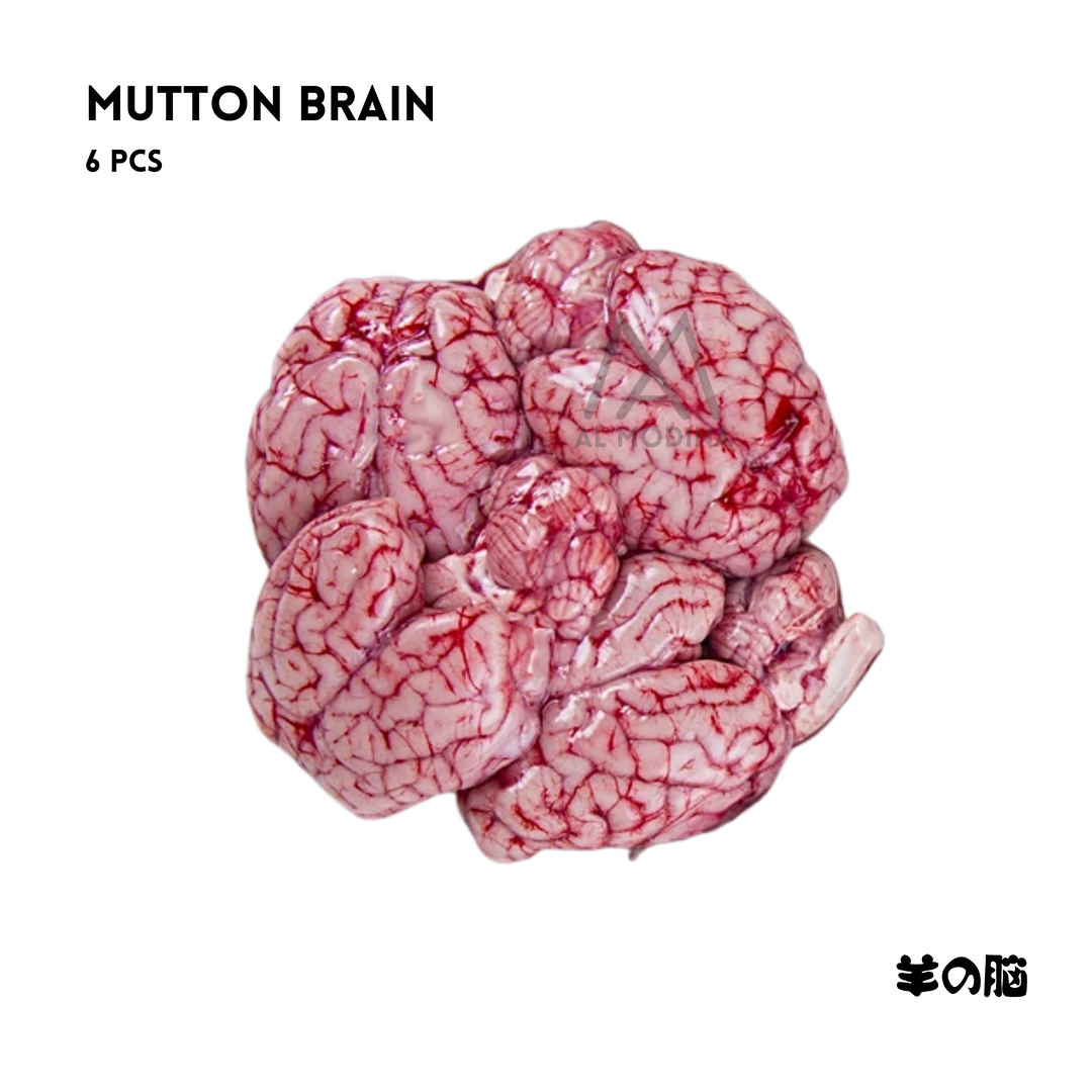 Mutton Brain 6 pieces - AL MODINA