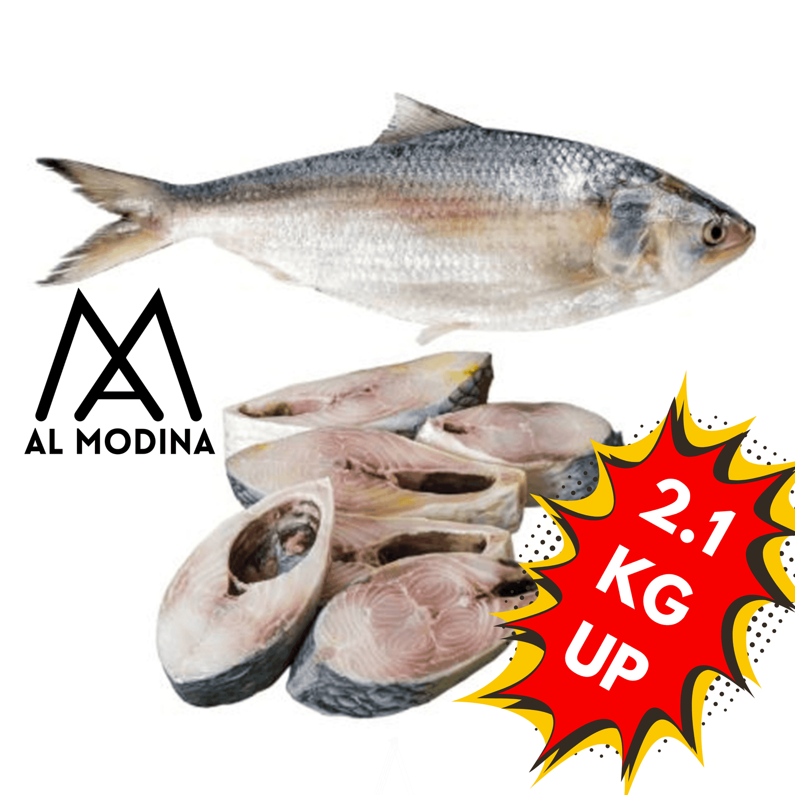 HILSHA JUMBO size 2kg up - AL MODINA