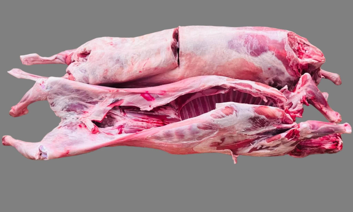 Non Frozen Fresh Lamb Carcase Whole 14Kg Size - AL MODINA