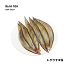 Baim fish (eel)
