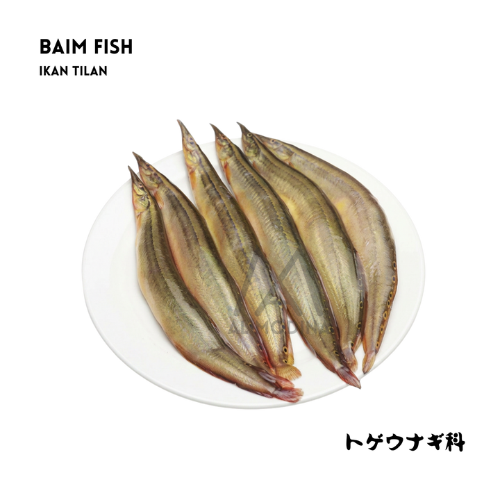 Baim (Fish) 250gram