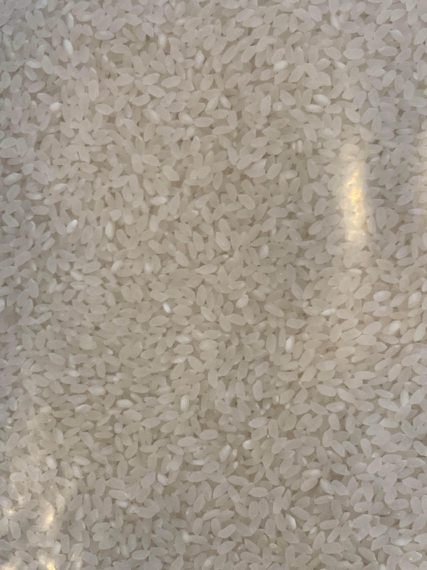 Australian Rice 10kg – AL MODINA