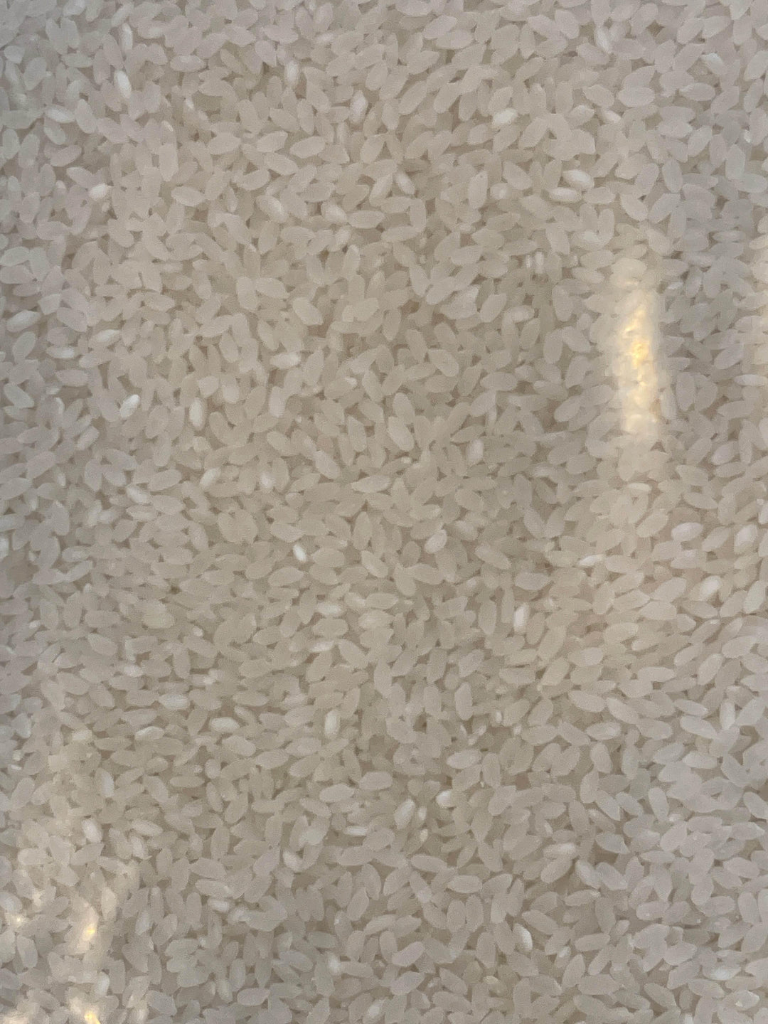Australian Rice 10kg - AL MODINA