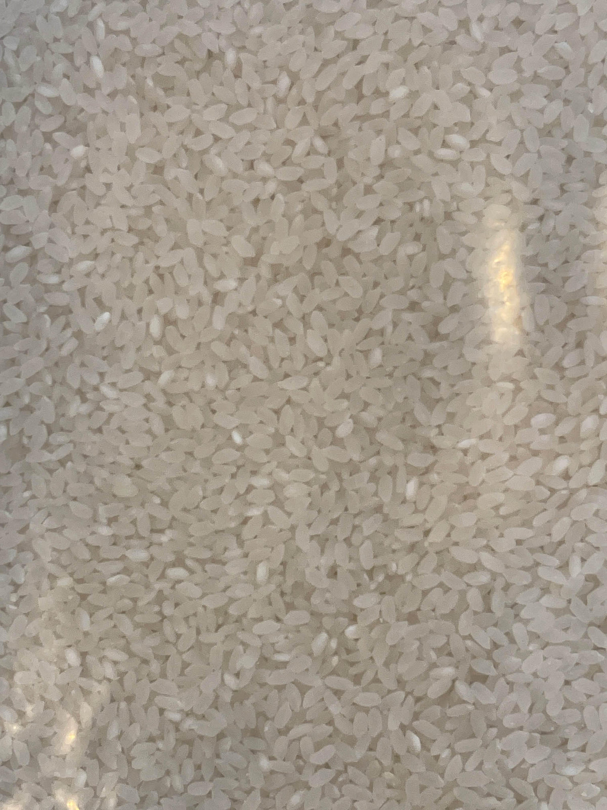 Australian Rice 10kg - AL MODINA