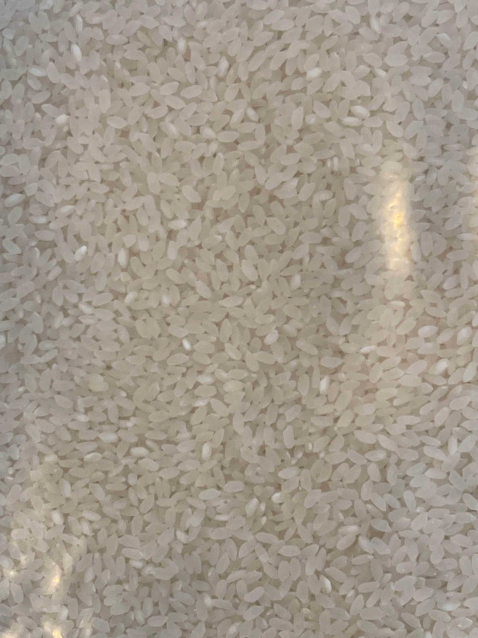 Australian Rice 10kg - AL MODINA
