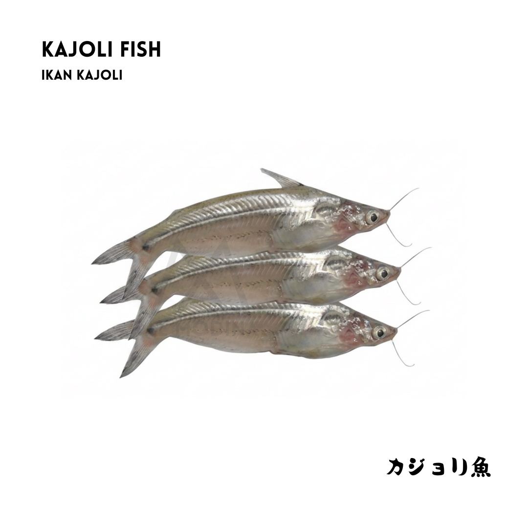 Kajoli Fish 200gm