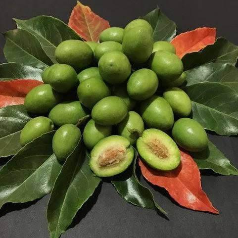 Olive frozen ( jolpai) 300g - AL MODINA