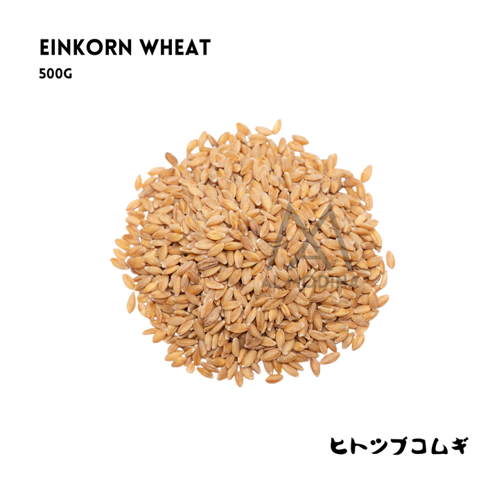 Einkorn Wheat 500g