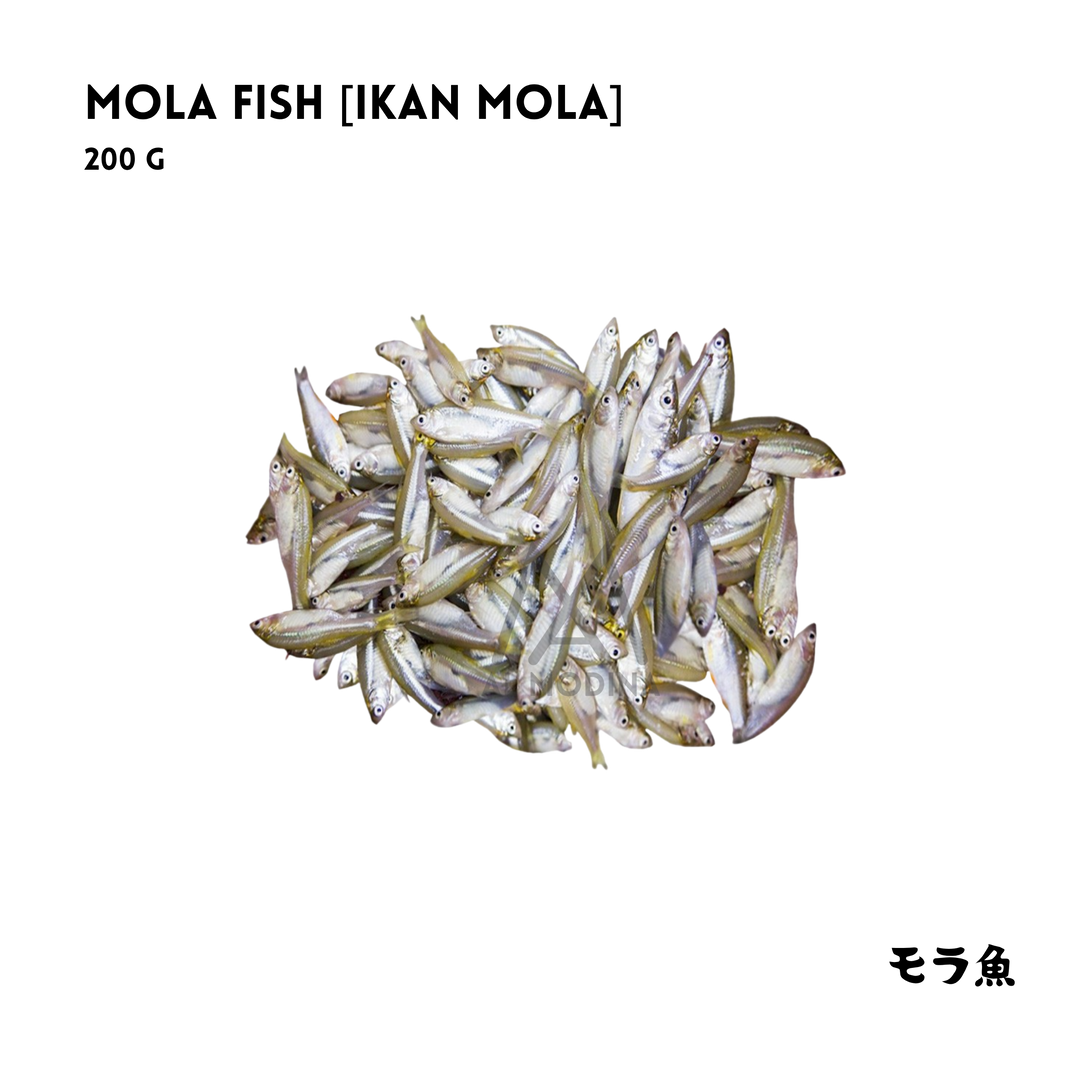 Mola Fish 200g