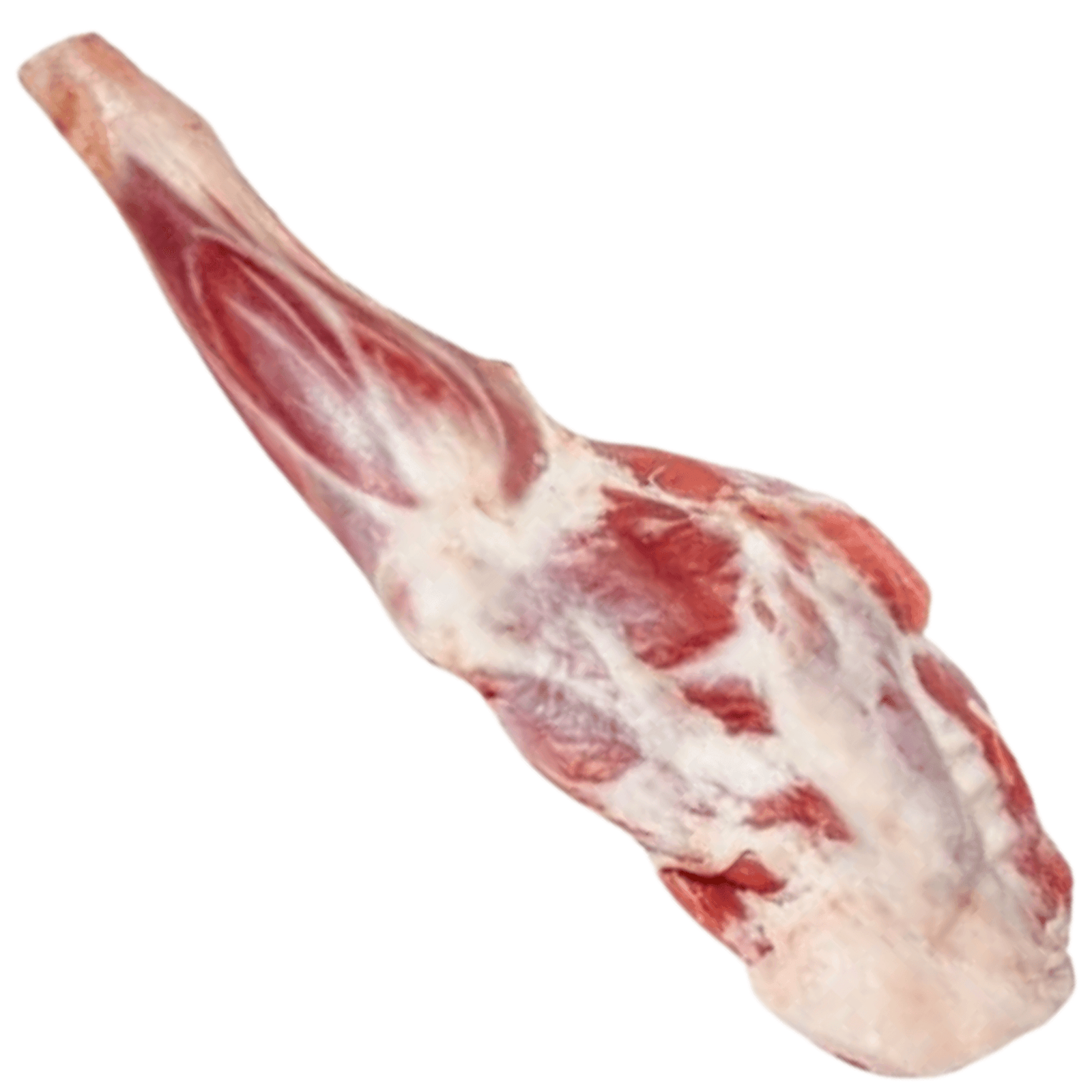 Lamb Front Leg (Dasthi) 1.1kg up - AL MODINA