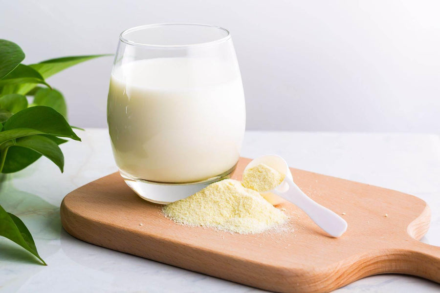 Coconut milk Powder - AL MODINA