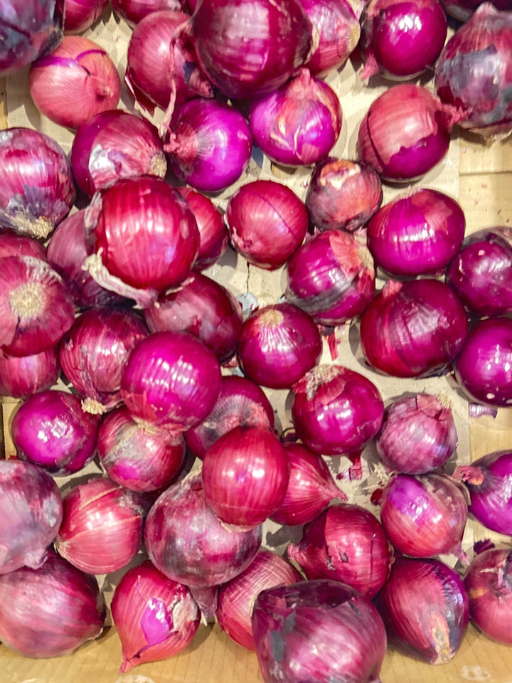 Close-up of fresh red onions with shiny purple skins in a cardboard box